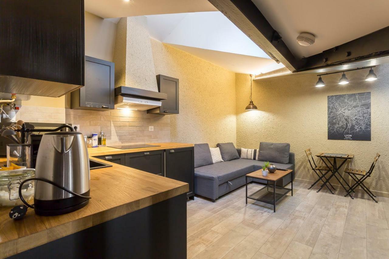 L'Atelier De Saint Paul - Bail Mobilite Apartment Lyon Ngoại thất bức ảnh